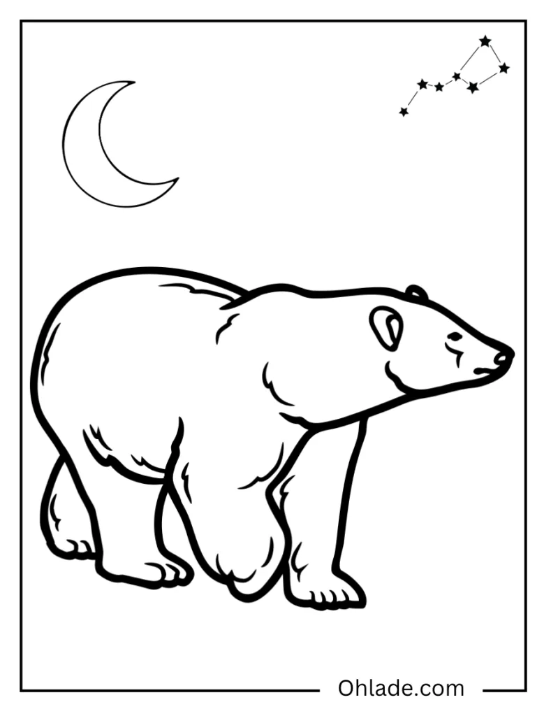 Regal Polar Bear Coloring Page - Ohlade